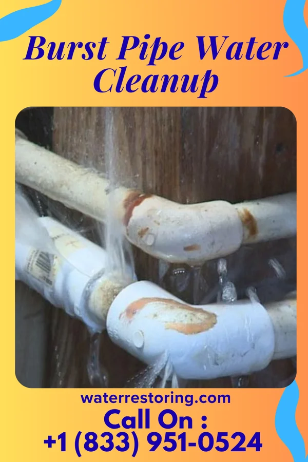 Burst Pipe Water Cleanup in Capon Bridge, WV