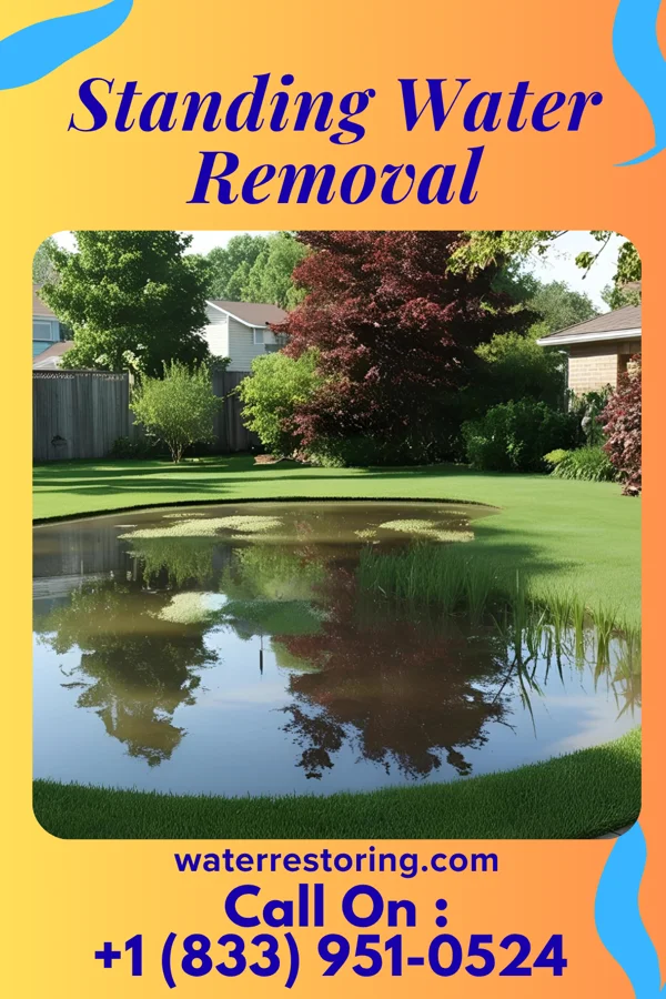 Standing Water Removal in Capon Bridge, WV